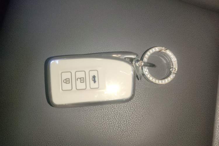 Used Lexus NX 2020 300h Front-Drive FENGSHANG Version China VI Standard