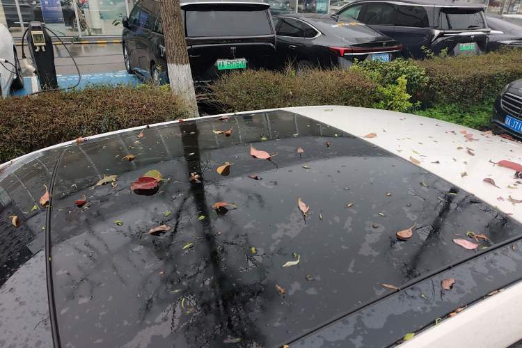 Used Skoda Octavia 2019 1.5L Automatic Smart Drive Luxury Edition China VI Standard Roof