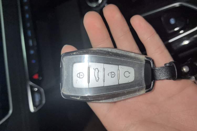 Used Geely Auto Monjaro L 2024 2.0TD High-Power Automatic Two-Wheel Drive Skyline Edition
