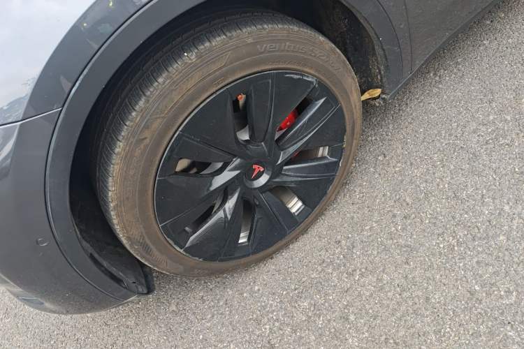 Used Tesla Model Y 2021 Long-Range All-Wheel-Drive Version 3D7