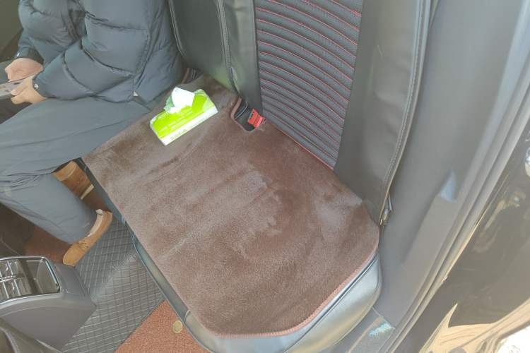 Used Volkswagen Magotan 2018 330TSI DSG Advanced Model Left Rear Seat