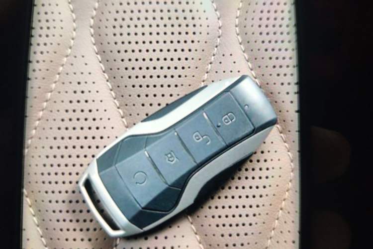 Used BYD Tang New Energy 2021 DM-i 112KM Prestige Model