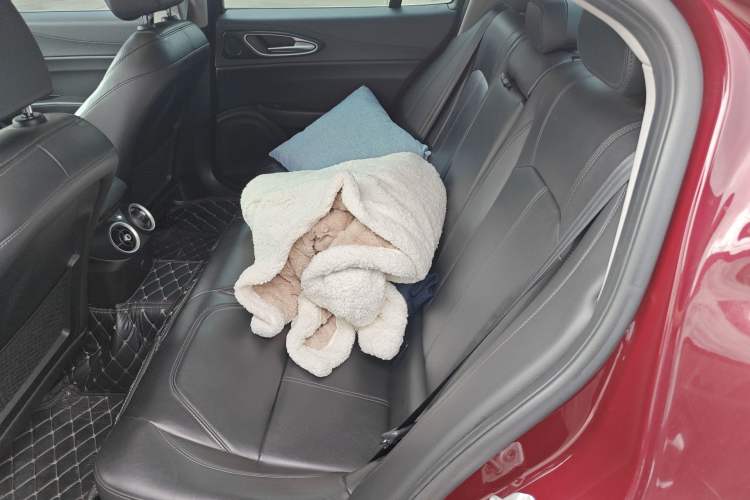 Used Alfa Romeo Giulia 2017 2.0T 280HP Luxury Edition Left Rear Seat