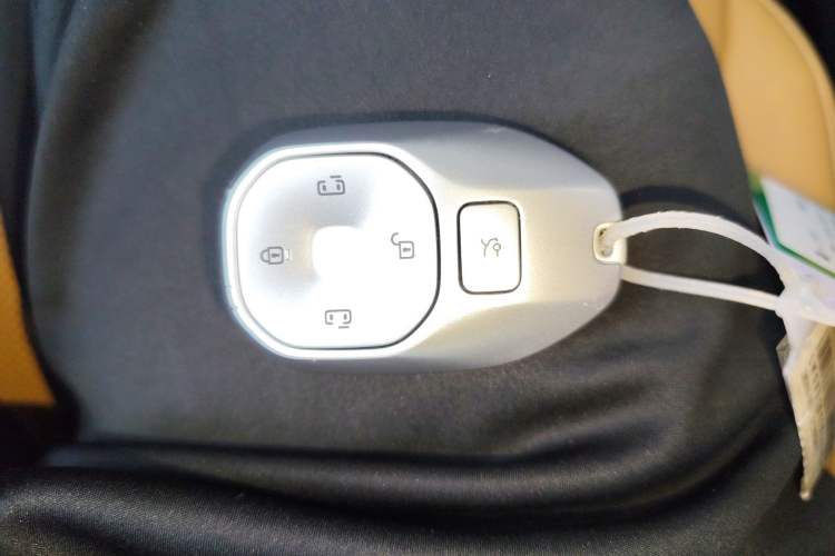 Used GAC Trumpchi E8 New Energy 2024 150km MAX