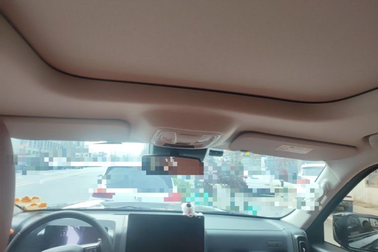 Used Haval H9 2024 2.0T Gasoline All-Wheel-Drive Extreme Edition
