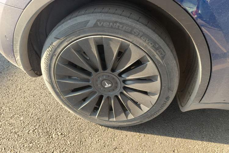 Used Tesla Model Y 2021 Standard Range Rear-Wheel Drive Version
