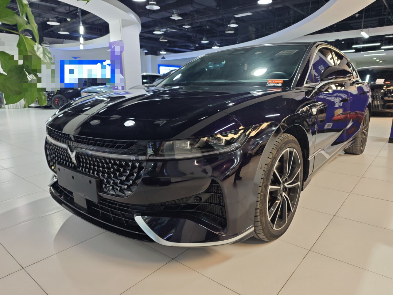 Parte inferior delantera