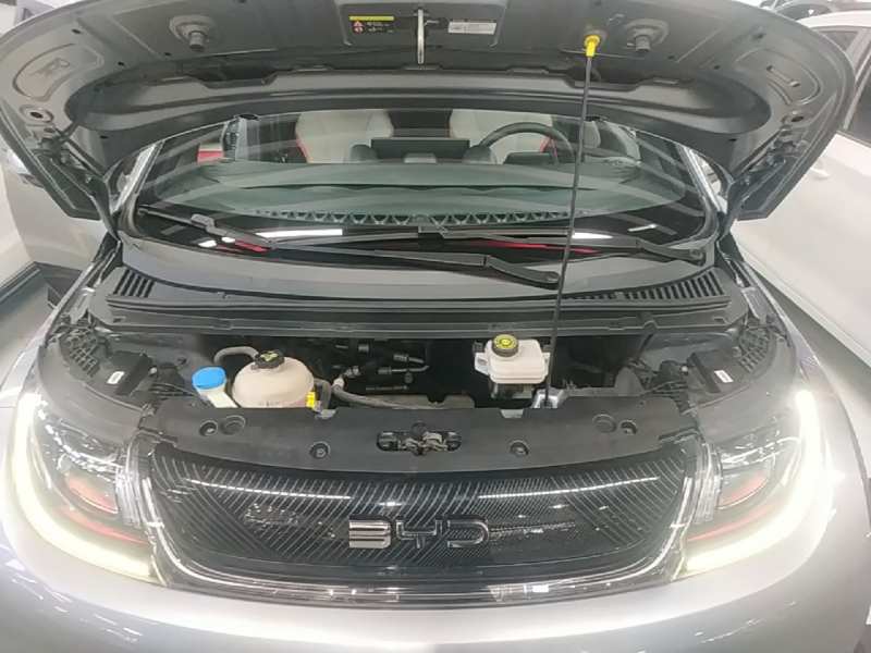 Used BYD Dolphin 2021 405 km Fashion Edition — 19