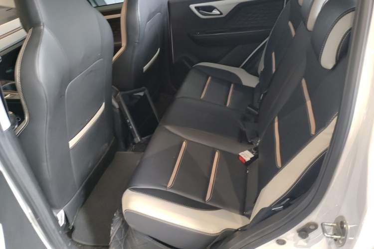 Used SOL E10X 2022 Flower Fairy Style Baby's Breath
