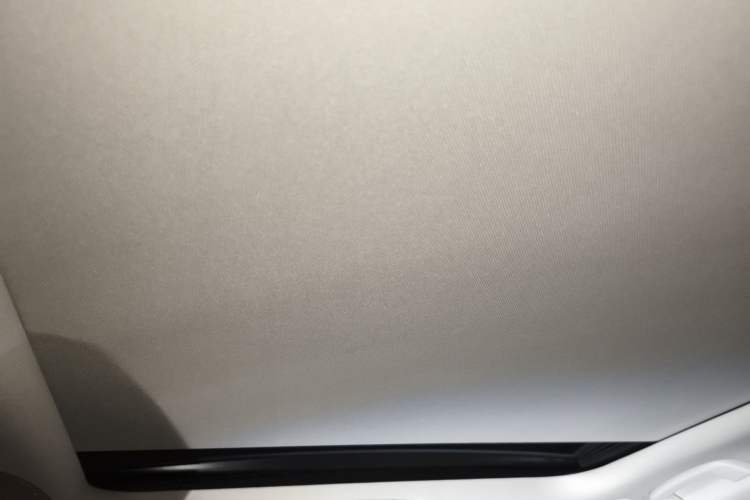 Used BMW 3 Series 2020 325Li First Edition Headliner