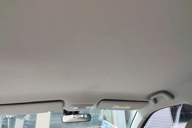 Used JAC Yiwei 3 2023 405km Lite Headliner