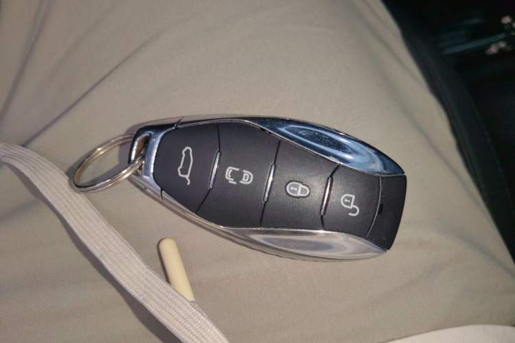 Used Hongqi HQ9 2023 2.0T Smart Connect Flagship Edition