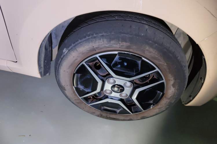 Used SOL E10X 2022 Flower Fairy Design Four-Leaf Clover
