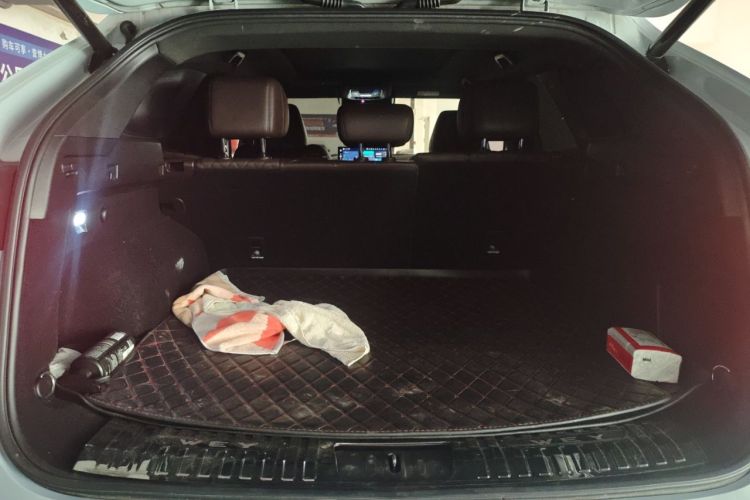 Used Wey Mocha 2021 2.0T Four-Wheel Drive Premium Edition
