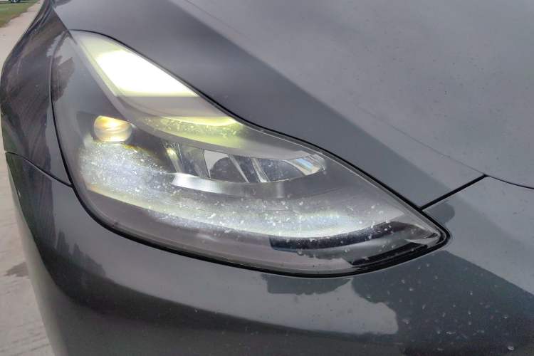 Used Tesla Model Y 2021 Long-Range All-Wheel-Drive Version
