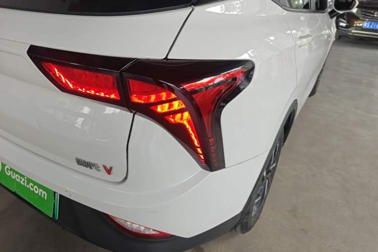 Used NETA V 2021 Long-Range Entertainment Edition Upgrade Model
