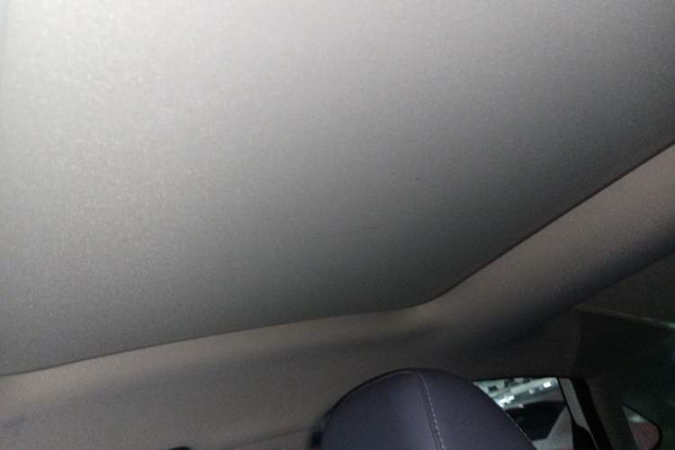 Used Rising ER6 2020 620 km Smart Drive Version