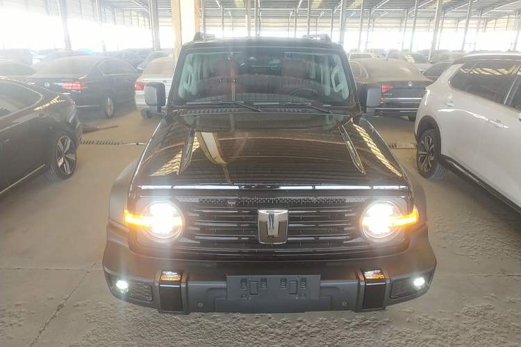 Used Tank 300 2024 2.0T Conqueror