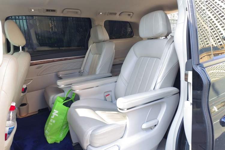 Used GAC Trumpchi M8 2018 320T Luxury Edition Left Rear Seat