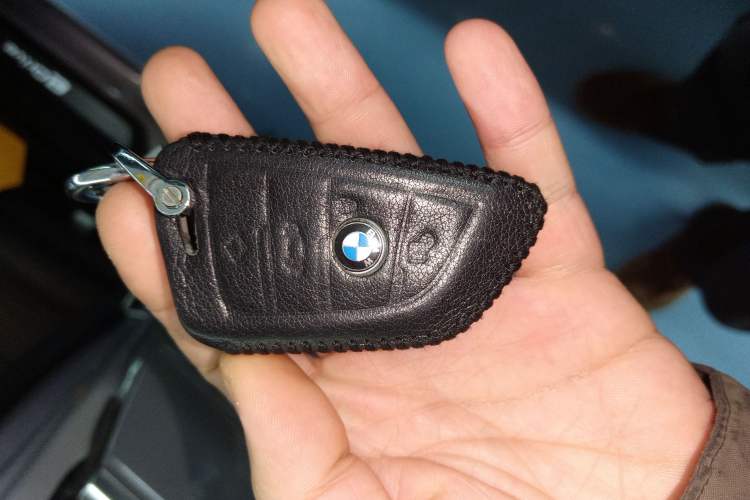 Used BMW 5 Series New Energy 2019 Updated Version 530Le Luxury Package