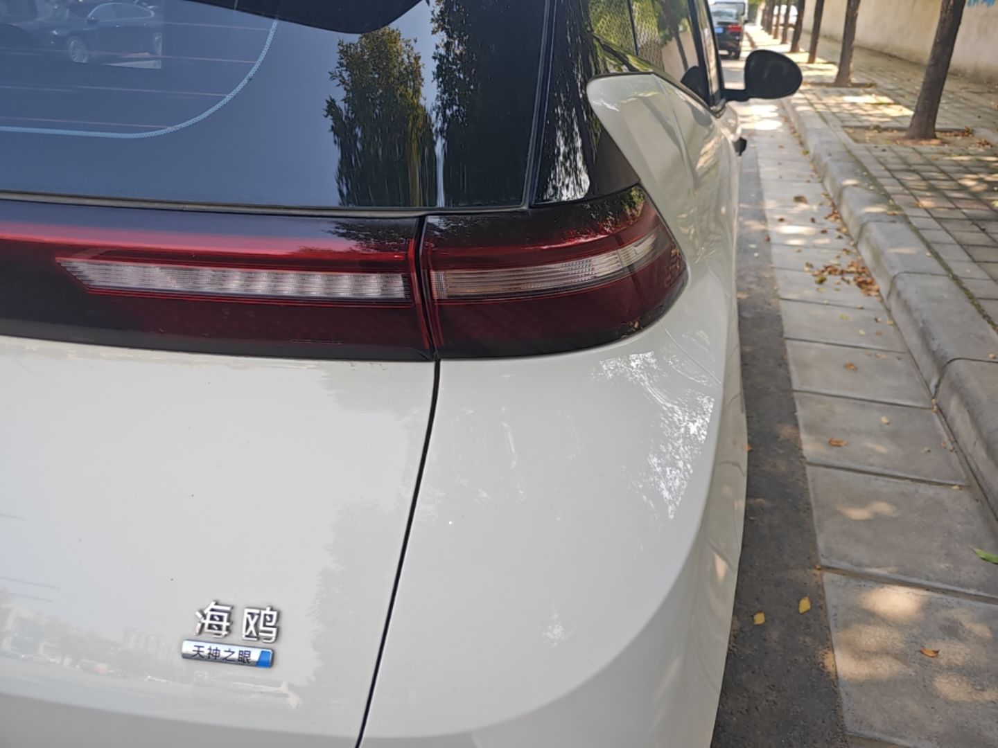 BYD Seagull 2025 Smart Drive Version 305 km Freedom Edition — снимка 9