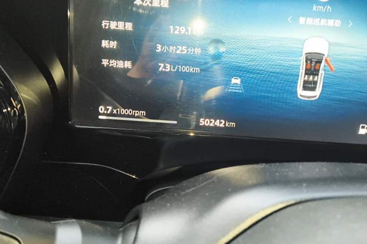 Used Geely Auto Monjaro L 2024 2.0TD High-Power Automatic Two-Wheel Drive Skyline Edition
