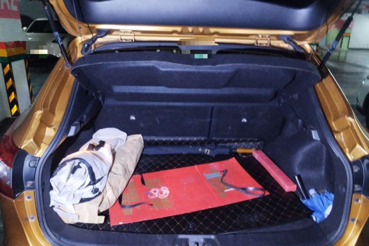 Used Nissan Qashqai 2016 2.0L CVT Luxury Edition
