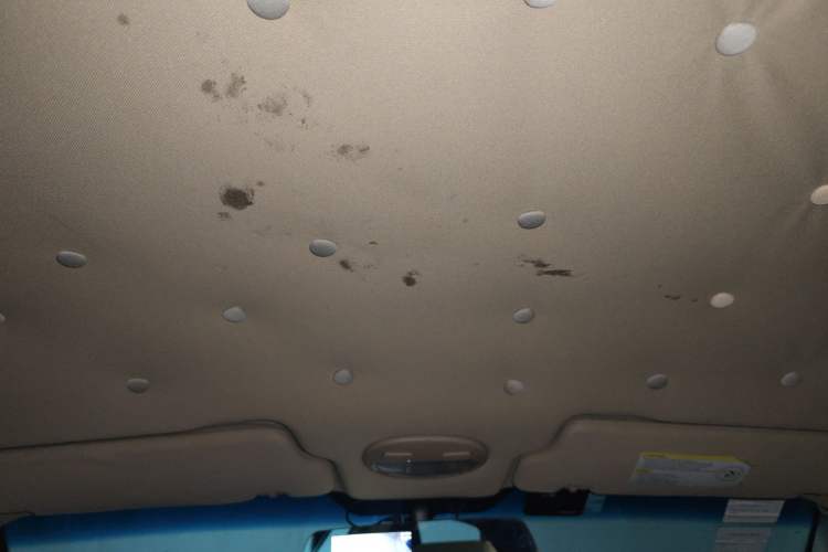 Used Buick Excelle 2011 1.6LX-AT Headliner