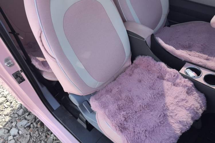 Used Bestune Pony 2025 222km Range Agile Horse
