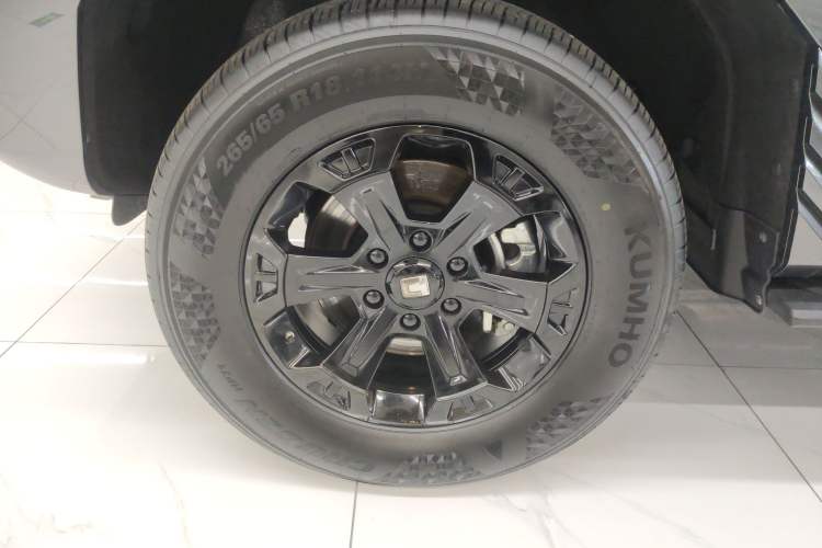 Used Tank 400 2025 2.0T Gasoline Version
