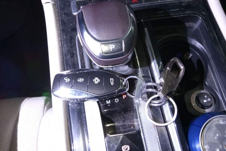 Used Hongqi H5 2023 2.0T Automatic Smart Connect Flagship Edition
