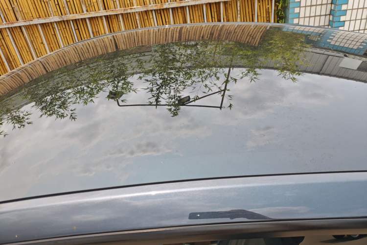 Used Tesla Model Y 2024 Rear-Wheel-Drive Version Roof