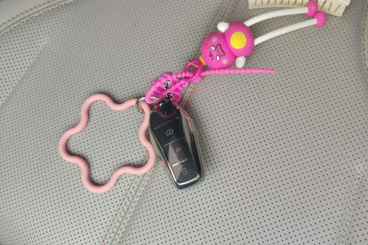 Used BYD Qin PLUS 2023 Champion Edition DM-i 55KM Leading Model