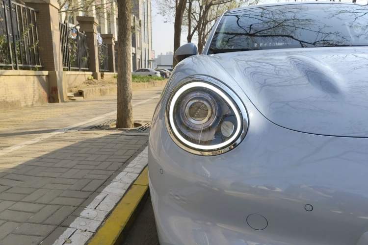 Used ORA Good Cat 2021 400km Standard Range Athena Edition Lithium-Ion Battery
