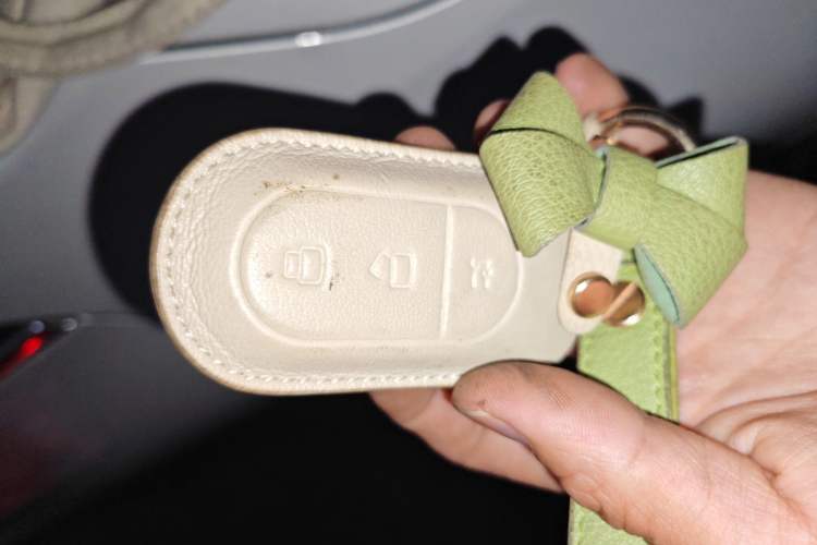 Used Leapmotor C11 2023 Pure Electric 500 Comfort Edition
