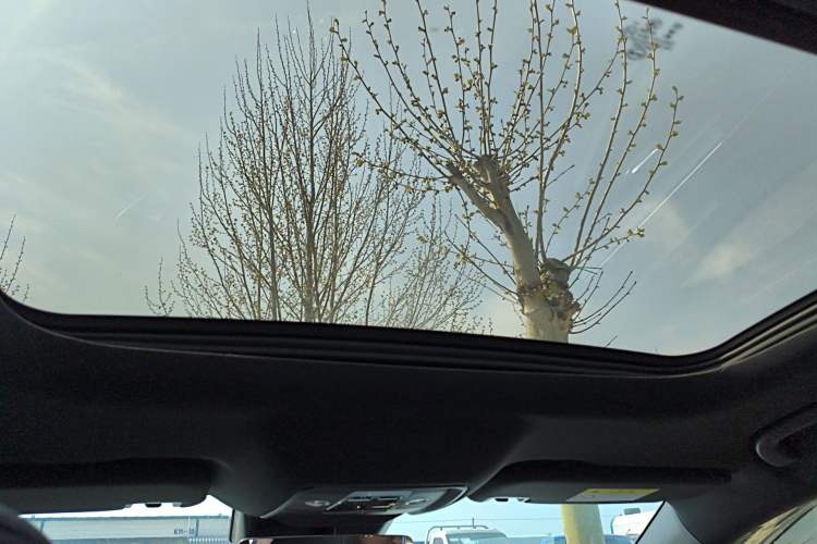 Used BYD Qin L 2024 DM-i 120KM Beyond Model
