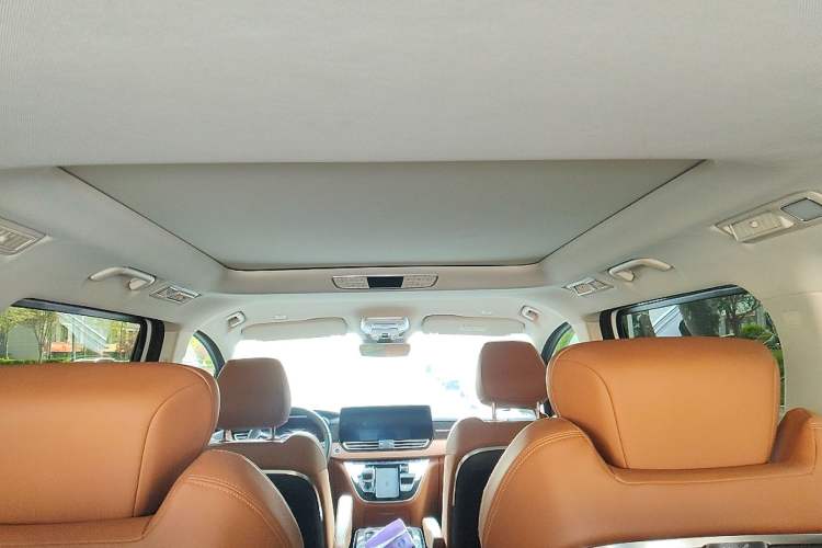 Used Hongqi HQ9 2023 2.0T Smart Connect Flagship Edition Headliner