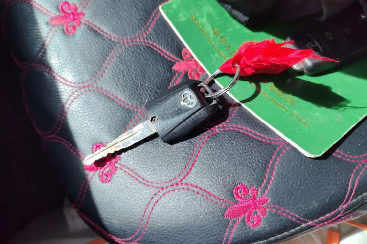 Used CHANGAN KAICHENG Ruixing M80 2019 1.5L Base Version 2-Seater Single-Steamed Air Conditioning China VI Standard Flat Roof Rear-Hinged Doors DAM15KR
