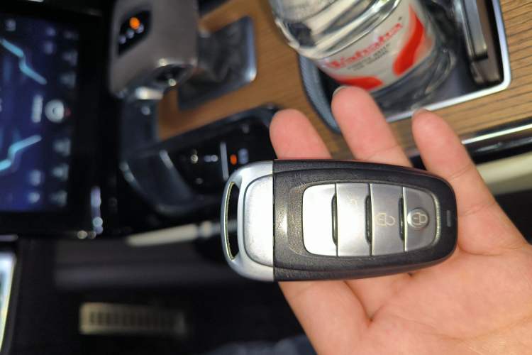 Used Hongqi E-HS9 2021 510 km Range Flagway Edition Six Seats
