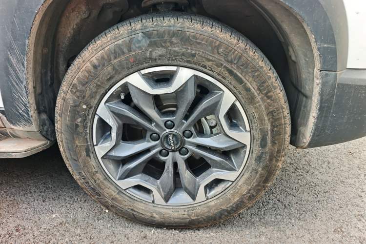 Used Haval DARGO 2021 2.0T DCT 4x4 Chinese Rural Dog Edition