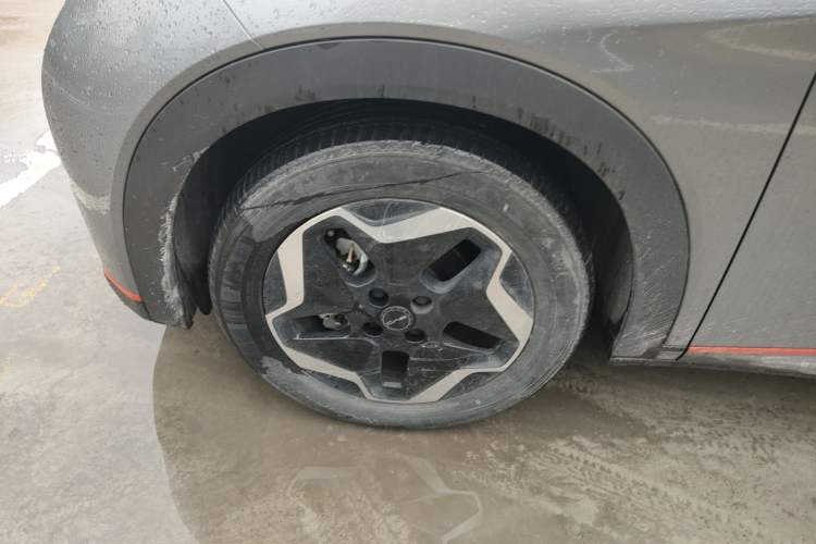 Used BYD Dolphin 2021 405 km Free Version