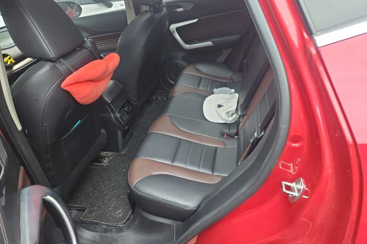 Used Wey VV5 2020 1.5T Two-Wheel Drive Color Pioneer
