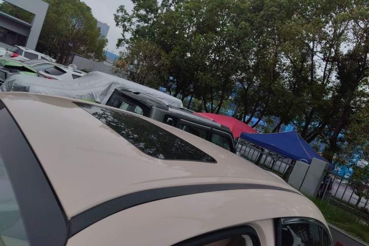 Used ORA Ballet Cat 2023 401 km Luxury Version
