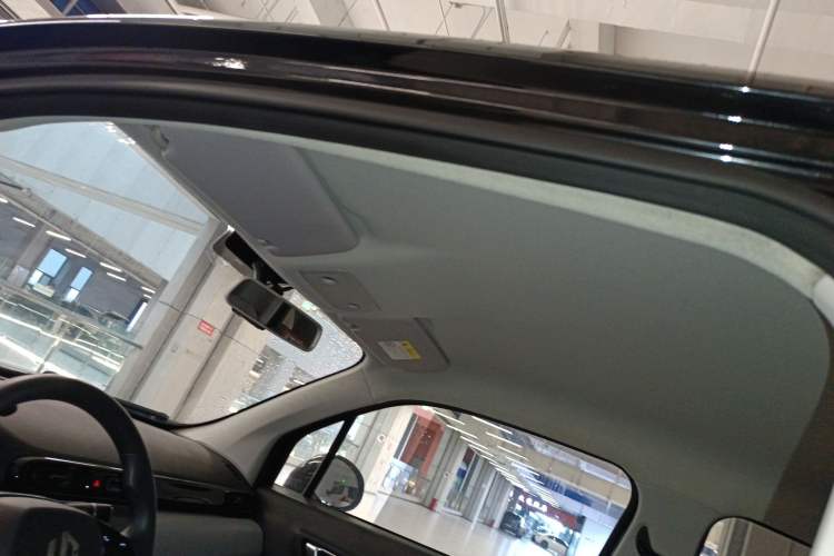 Used Leapmotor T03 2022 Crystal Edition Headliner