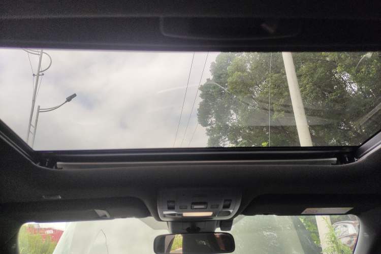 Used Lexus UX New Energy 2020 300e Pure·Joy Edition Headliner