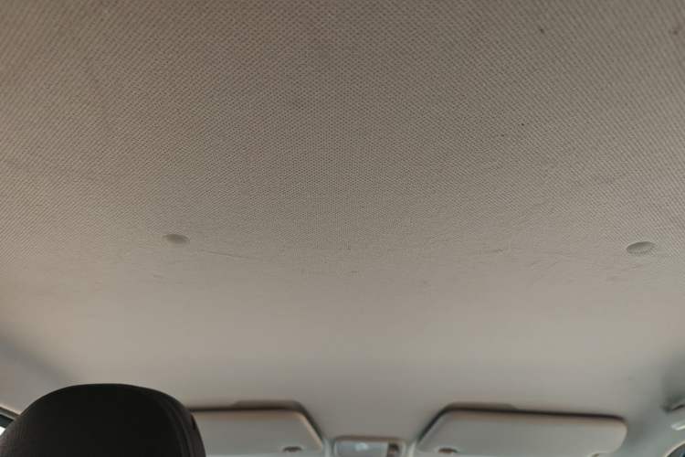 Used Wuling Hongguang MINIEV 2020 Freedom Version Lithium Iron Phosphate Headliner