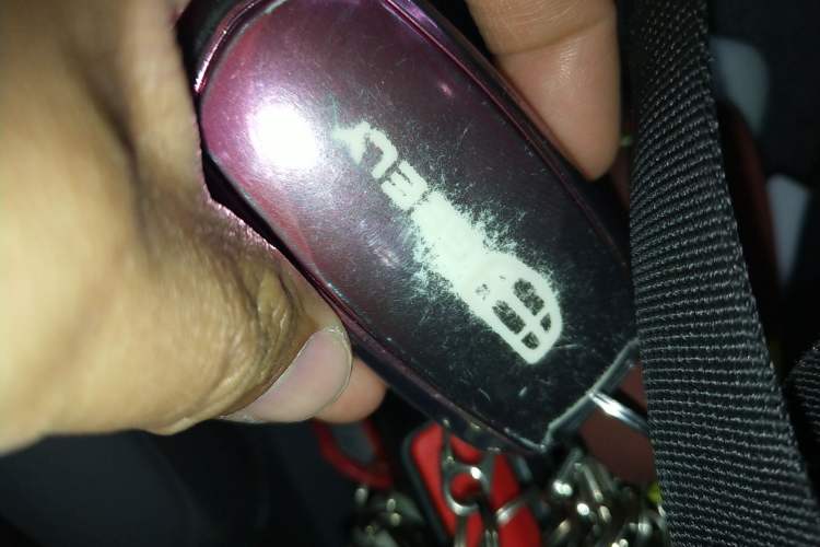 Used Geely Galaxy Panda 2024 Panda Mini 200km Longteng PRO Edition Vehicle Key