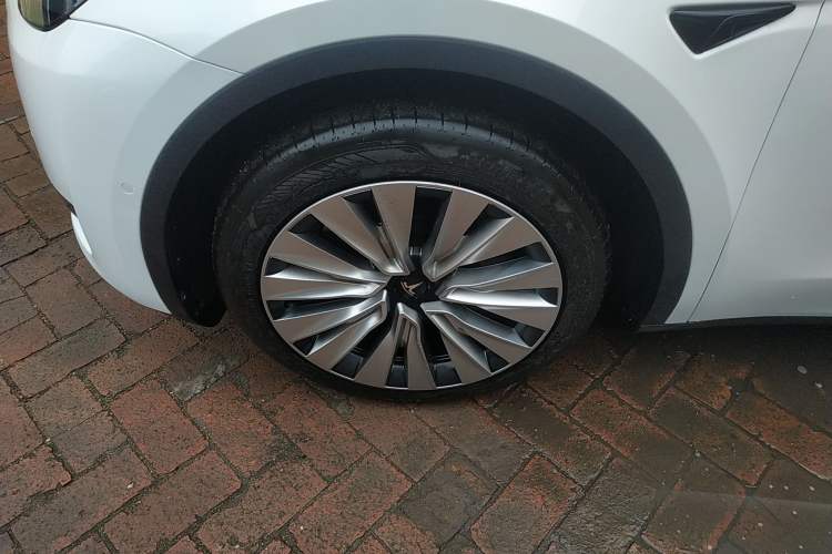 Used Tesla Model Y 2023 Rear-Wheel-Drive Version
