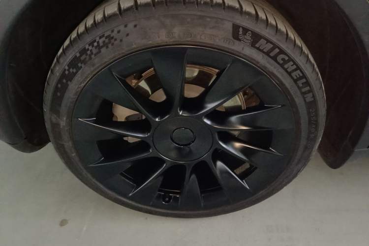 Used Tesla Model Y 2021 Standard Range Rear-Wheel Drive Version
