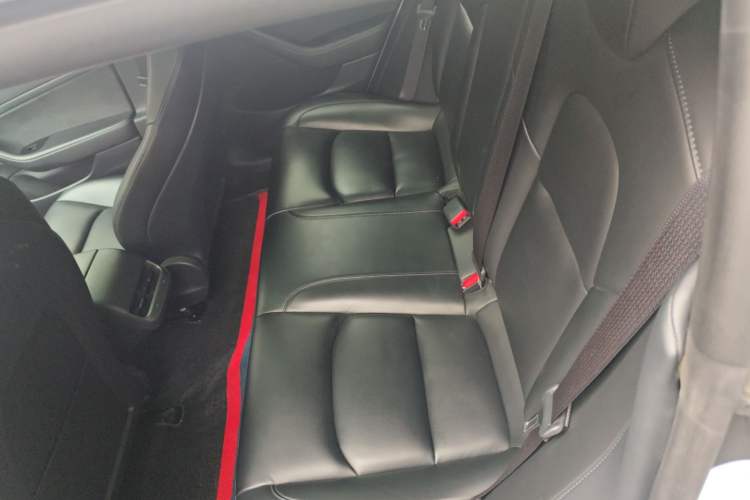 Used Tesla Model 3 2020 Standard Range Rear-Wheel Drive Upgraded Version
